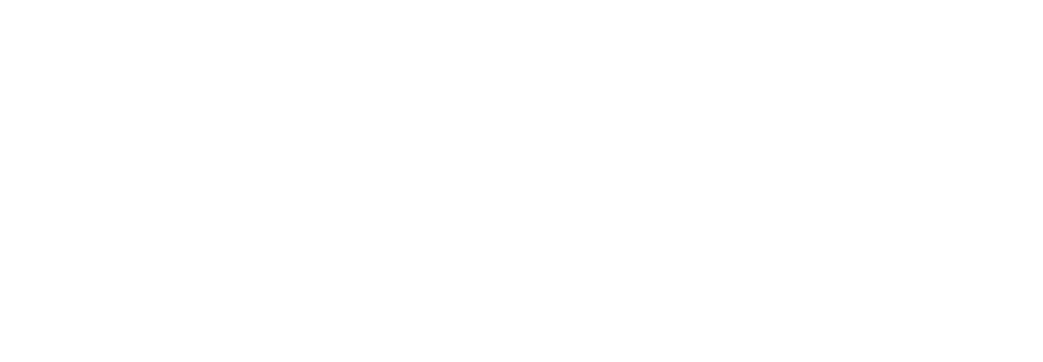 Zapico Elevadores de Eleonora Diaz